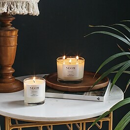 Feel Refreshed - 1 Wick Scented Candle